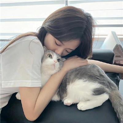 八面玲珑的申小姐 封面